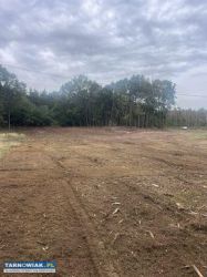 Wycinka, czyszczenie działek . niwelację terenu - Obrazek 3