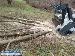 Wycinka, czyszczenie działek . niwelację terenu - Obrazek 2