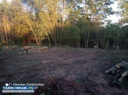 Wycinka, czyszczenie działek . niwelację terenu - Obrazek 1