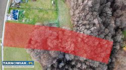 Bistuszowa - 67,16 ar - Obrazek 3