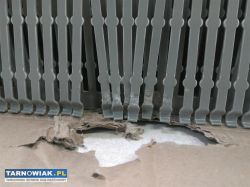 Kanał kablowy Koryto grzebieniowe Phoenix Contact - Obrazek 2