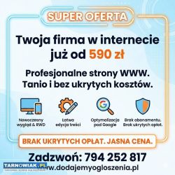 Strona internetowa już od 590 zł - bez przepłacani - Obrazek 1