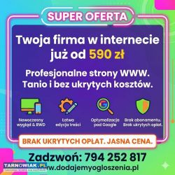 Strona internetowa już od 590 zł - bez przepłacani - Obrazek 3