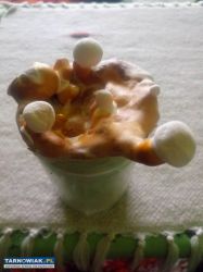 Reishi, własna uprawa, cena za gram 2.50 zł. - Obrazek 1