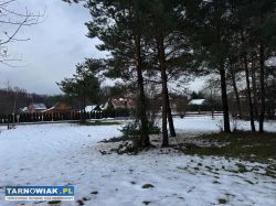 Działka z WZ - Szarwark - Obrazek 2