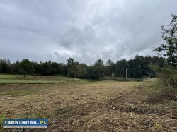Działka budowlana w Tuchowie - Obrazek 2