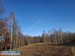 Piękna duża działka - Obrazek 1