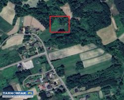 Piękna duża działka - Obrazek 3