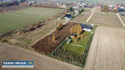 Duża działka z WZ w Pawęzowie - Obrazek 2