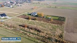 Duża działka z WZ w Pawęzowie - Obrazek 3