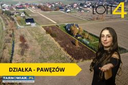 Duża działka z WZ w Pawęzowie - Obrazek 1