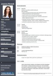 Profesjonalne pisanie Cv - Obrazek 1