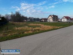 Działka z domem drewnianym gm. Dębno - Obrazek 1