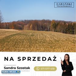 Działki budowlane - Łękawica koło Tarnowa - Obrazek 4