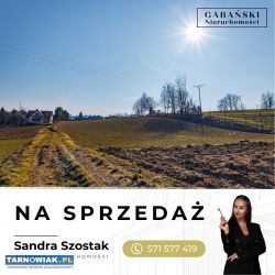 Działki budowlane - Łękawica koło Tarnowa - Obrazek 3