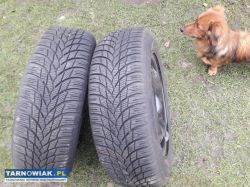Opony zimowe Lassa - Obrazek 1