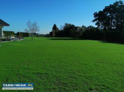 Zakładanie Trawników ,Ogrodów - Obrazek 2