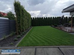 Zakładanie Ogrodów Projektowanie Realizacja - Obrazek 3