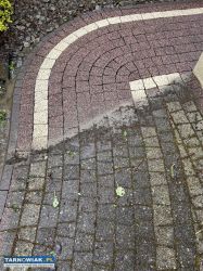 Czyszczenie kostki brukowej elewacji Tarnów Mycie - Obrazek 1