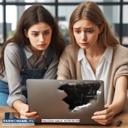 Subiekt 123 z KSeF – dla małego handlu, usług, JDG - Obrazek 1