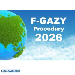 Aktualne Procedury FGaz na kontrolę UDT - Obrazek 1