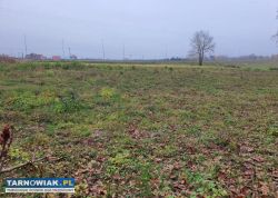 Działka budowlana 11 arów Dąbrowa Tarnowska Bagien - Obrazek 3