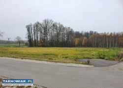 Działka budowlana 11 arów Dąbrowa Tarnowska Bagien - Obrazek 1