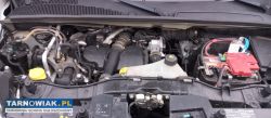 Renault Kangoo express - Obrazek 3