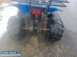 Sprzedam kłada - Obrazek 3