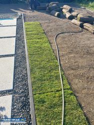 Usługi ogrodnicze, trawniki, koparka, ładowarka - Obrazek 2