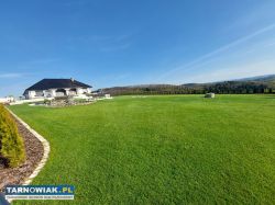 Usługi ogrodnicze, trawniki, koparka, ładowarka - Obrazek 1