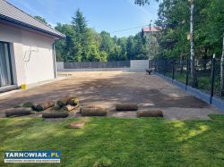 Usługi ogrodnicze, trawniki, koparka, ładowarka - Obrazek 4