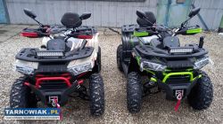 Quad challenger 250 t3b homologacja atv asix - Obrazek 3