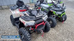Quad challenger 250 t3b homologacja atv asix - Obrazek 4