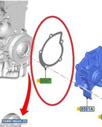 Uszczelka - pompa wodna - Ford - Obrazek 1