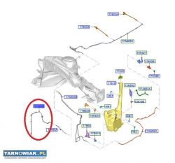 Przew.Elast. - sprysk. Szyby przed. - Obrazek 1