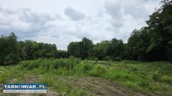 Działka Tarnów - Obrazek 2