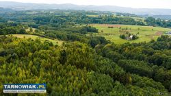 Na sprzedaż działki w Zalasowej - Obrazek 2