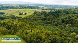 Na sprzedaż działki w Zalasowej - Obrazek 3