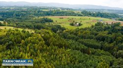 Na sprzedaż działki w Zalasowej - Obrazek 4