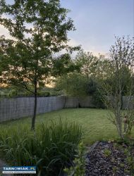 Działka ROD Kopernik Ogródek działkowy Tarnów - Obrazek 1