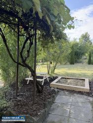 Działka ROD Kopernik Ogródek działkowy Tarnów - Obrazek 3