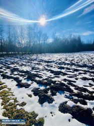 Sprzedam działki budowlane w Łowczowie - Obrazek 1