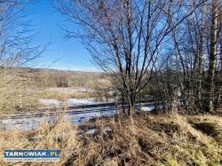 Sprzedam działki budowlane w Łowczowie - Obrazek 2