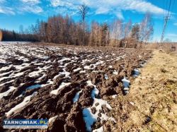 Sprzedam działki budowlane w Łowczowie - Obrazek 3