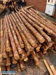 Stemple Budowlane Tanio - Obrazek 1