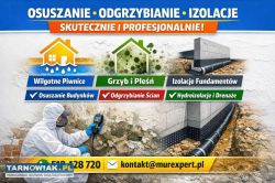 Izolacja pozioma. Podcinka fundamentów i iniekcja - Obrazek 1