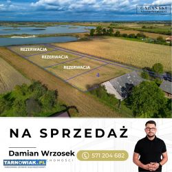 Działki budowlane w Zabawie k. Radłowa - Obrazek 1