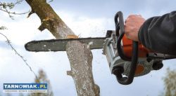 Ścinka drzew prace ogrodowe koszenie trawy kosą - Obrazek 1