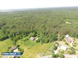 ŁŁ 1409 - na dużej działce przy lesie - Obrazek 4